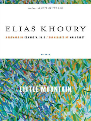 cover image of Little Mountain